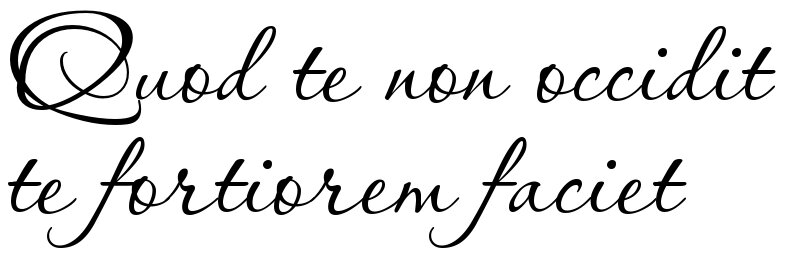 Est dommage. Esto quod es тату. Quod mē nōn Necat mē fortiōrem facit. Шрифт omnes. Quod me non Necat me fortiorem facit.