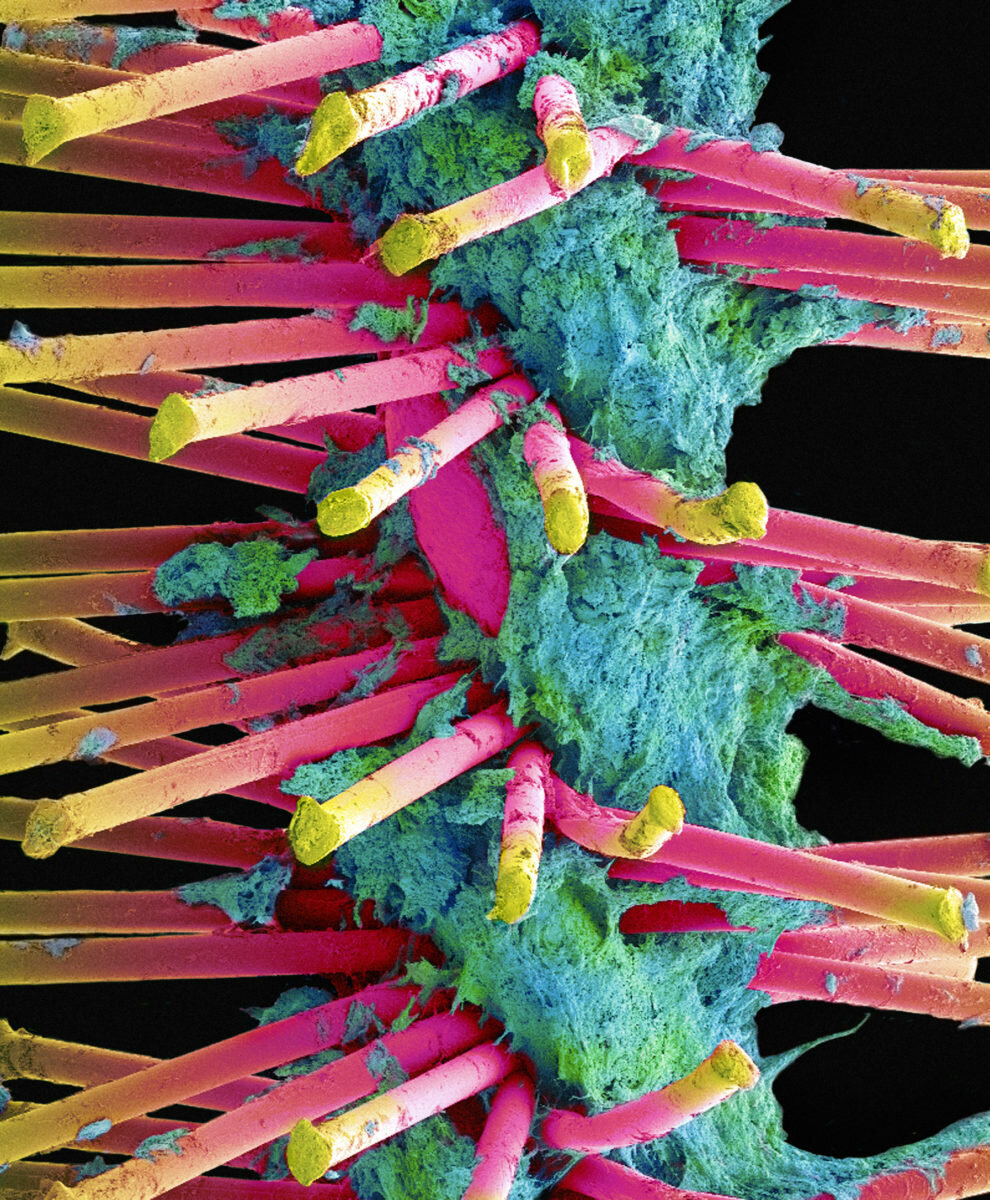  Из открытых  источников