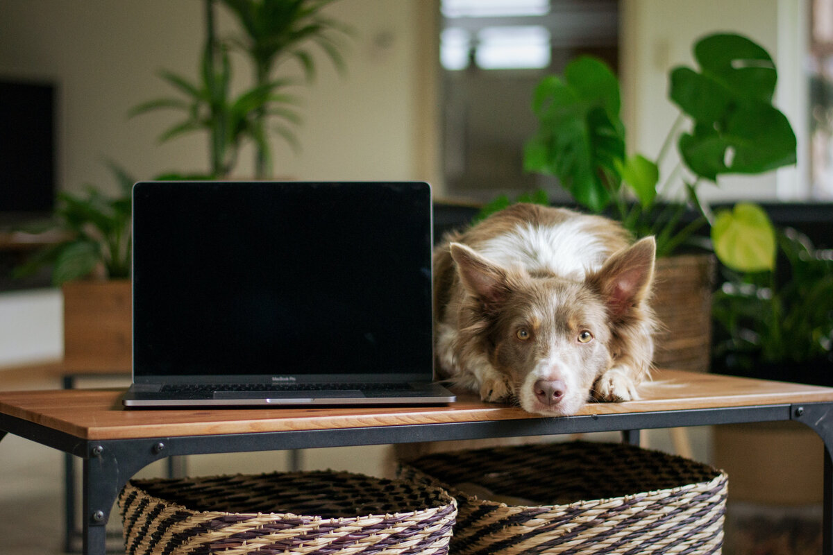 За предоставленное фото спасибо сервису unsplash.com
