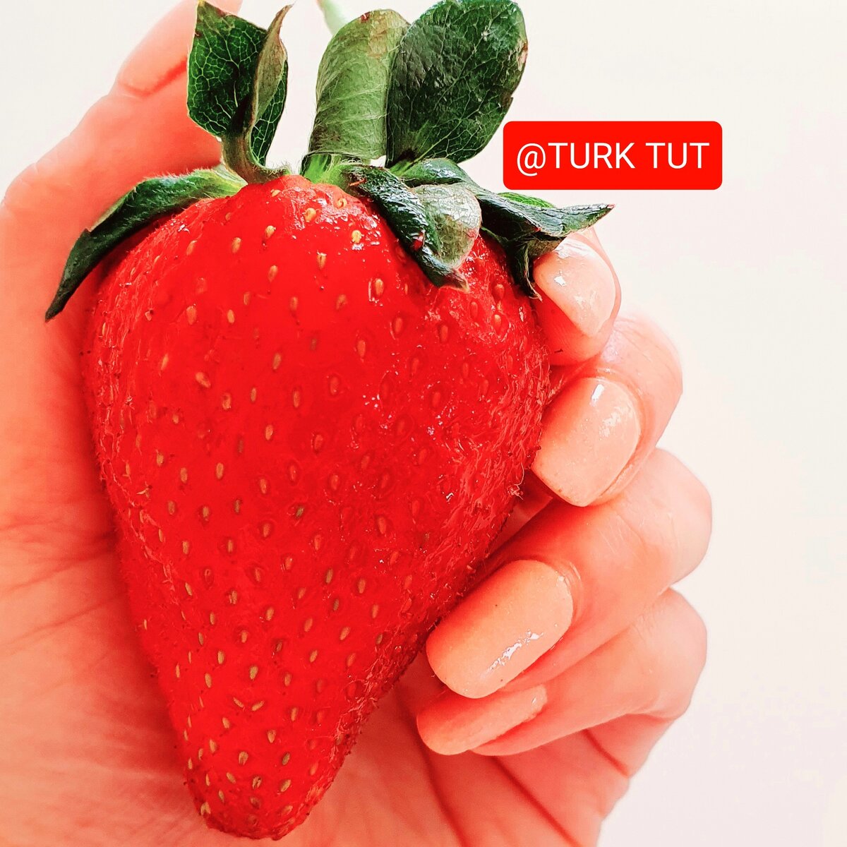 Клубника. Турция. Лето.