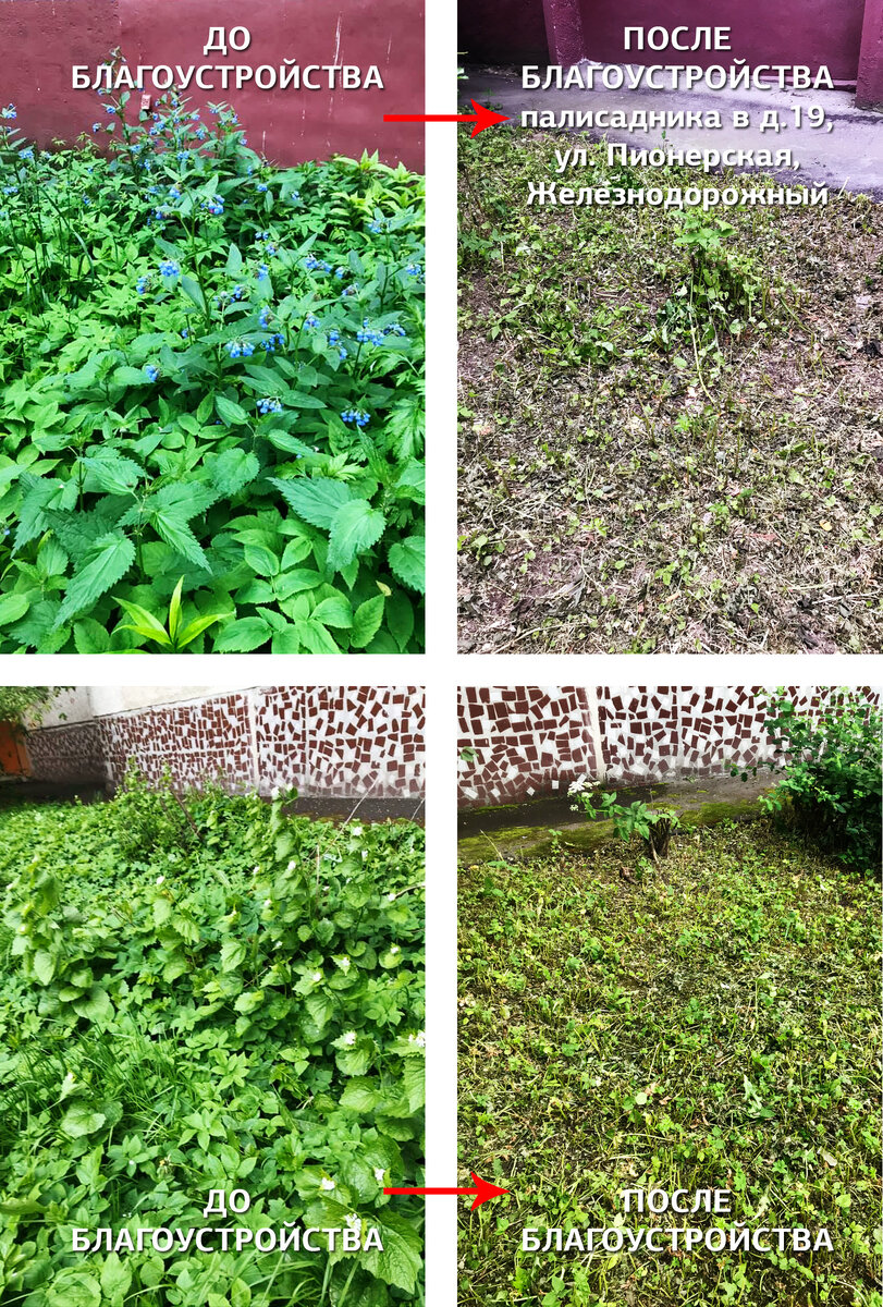 Экоцид благоустройства