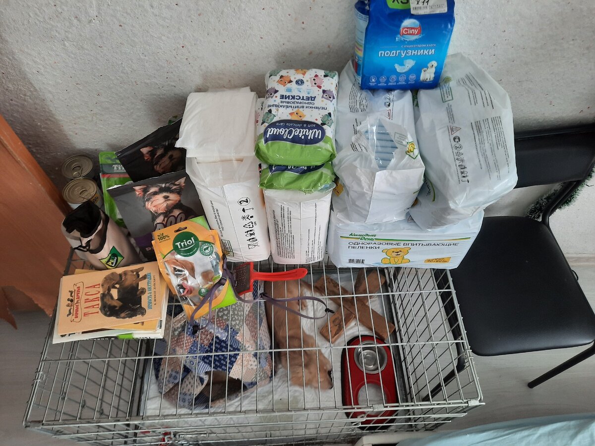 Всякая собачья штука.