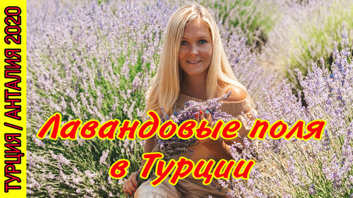 ЕДЕМ НА ЛАВАНДОВЫЕ ПОЛЯ В ТУРЦИИ. НЕВЕРОЯТНАЯ КРАСОТА В ГОРОДЕ ЫСПАРТА. ОТДЫХ В ТУРЦИИ АНТАЛИЯ