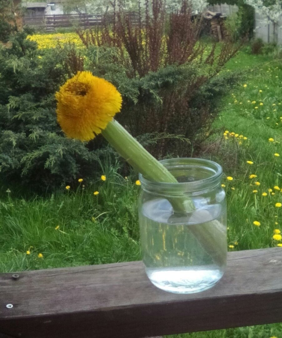 фото использовано в качестве иллюстрации. Источник "Яндекс.Картинки"