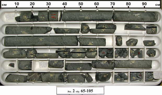 Образцы поднятого керна