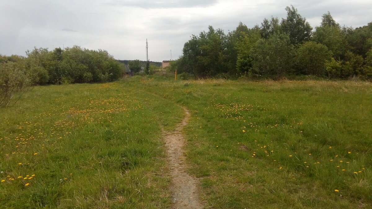 Тропинка по полю