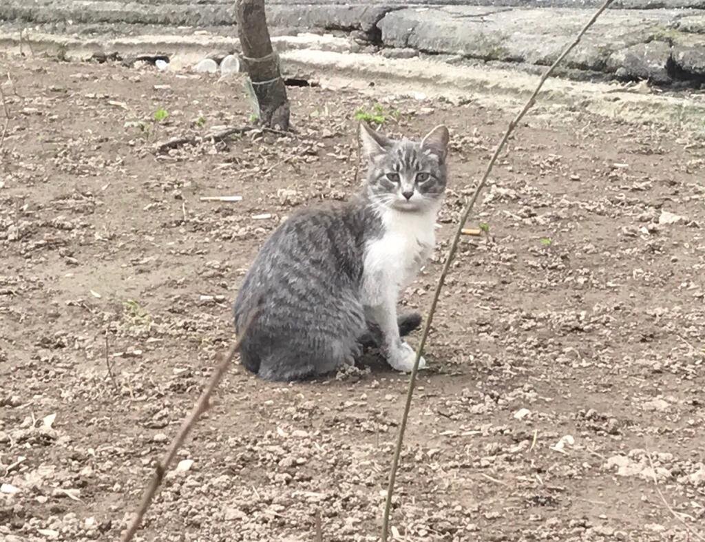 Луиза, 10 месяцев 