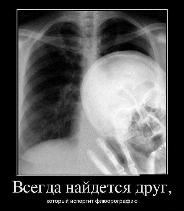 Фотография с сайта zasmeshi.ru