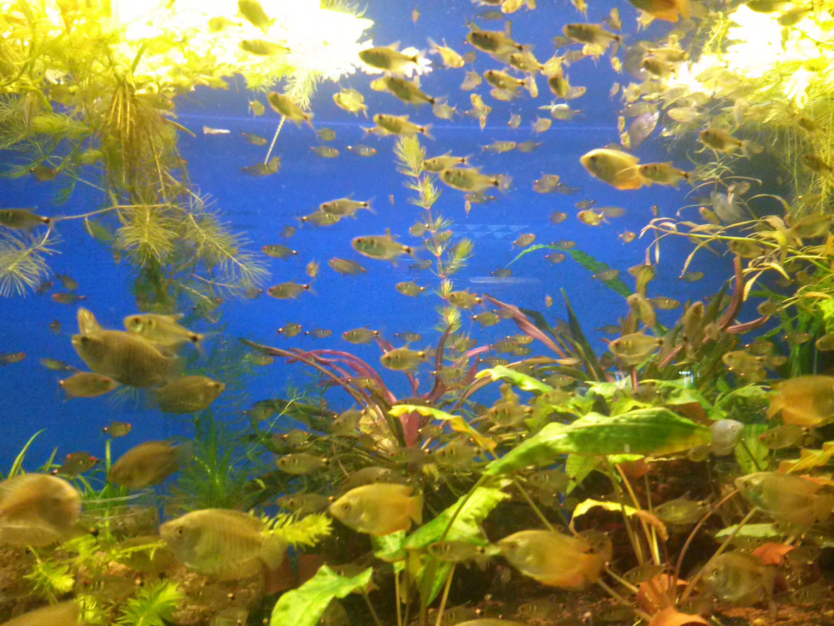 Фото из личного архива.