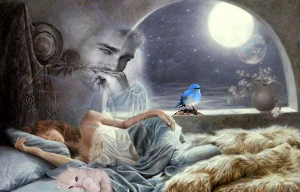 фото с яндекс картинки