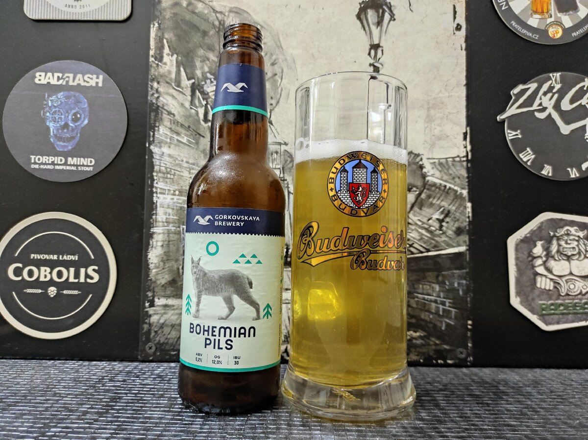 Bohemian Pils в кружке Budweiser