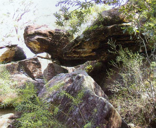 Фото: www.diggingsonline.com