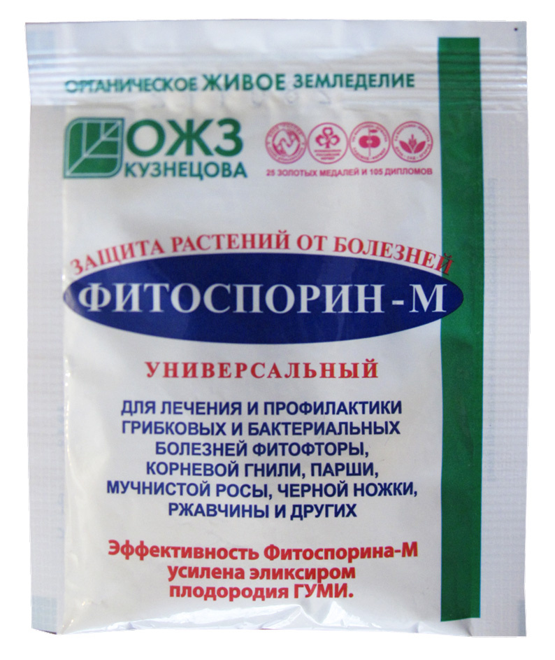 фото взято с я.картинок