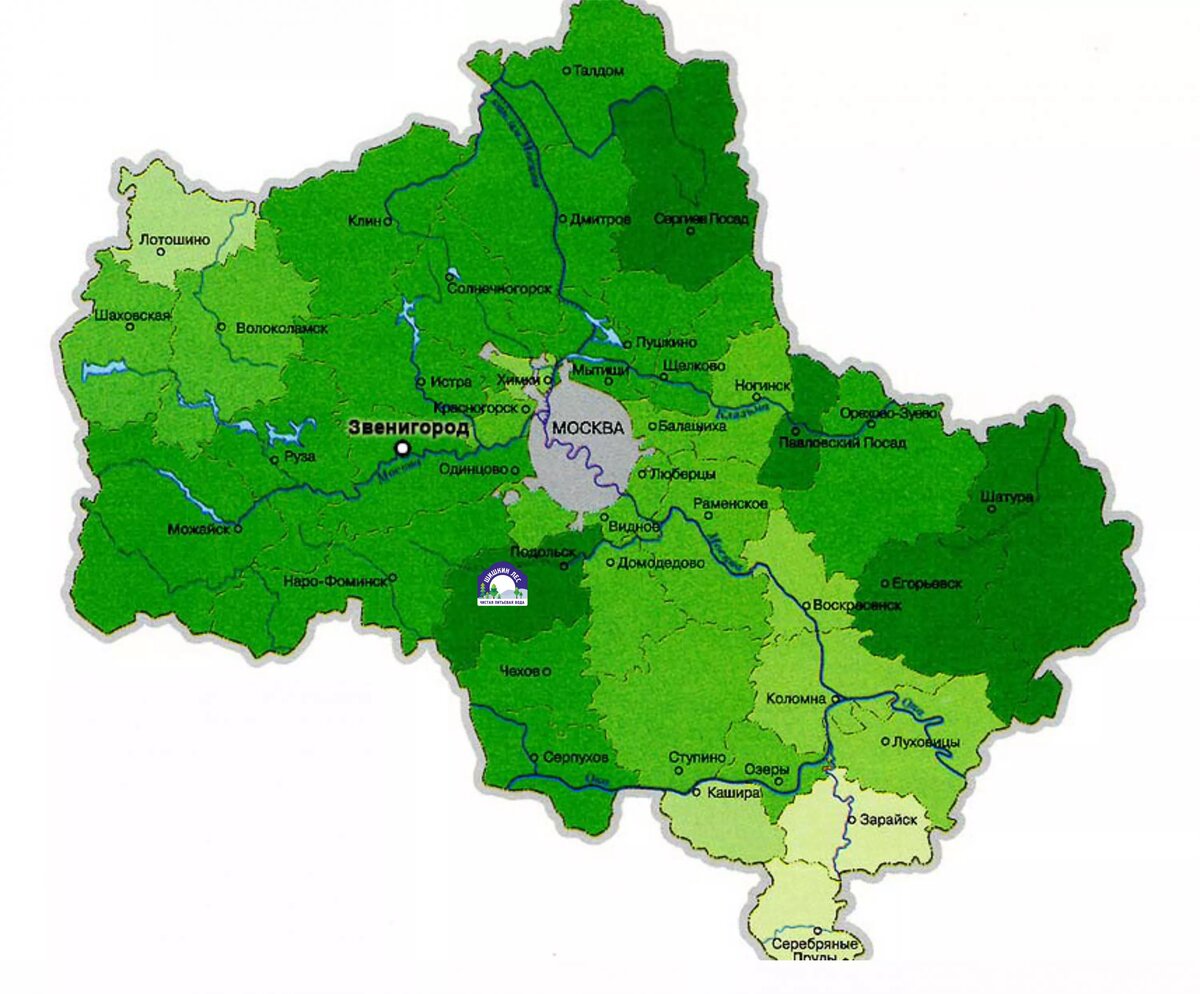 Карта лесов Московской области