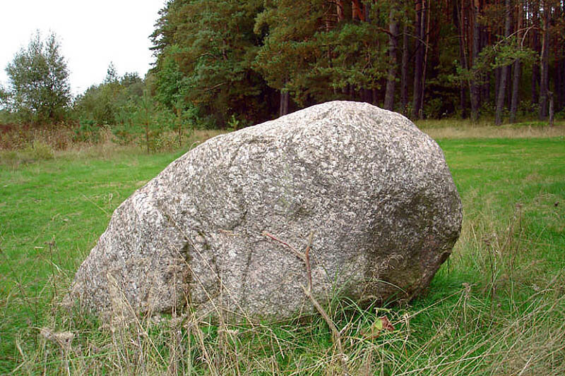 Камень том 1. Валун «большой камень» Кутишкинский. Земля с валунами. Валун «Гомсин камень». Камень обыкновенный.