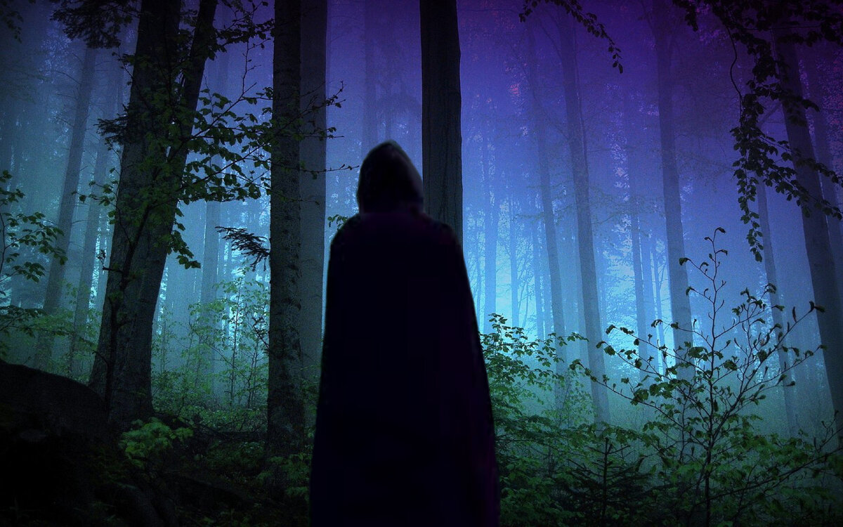 фото из открытого источника