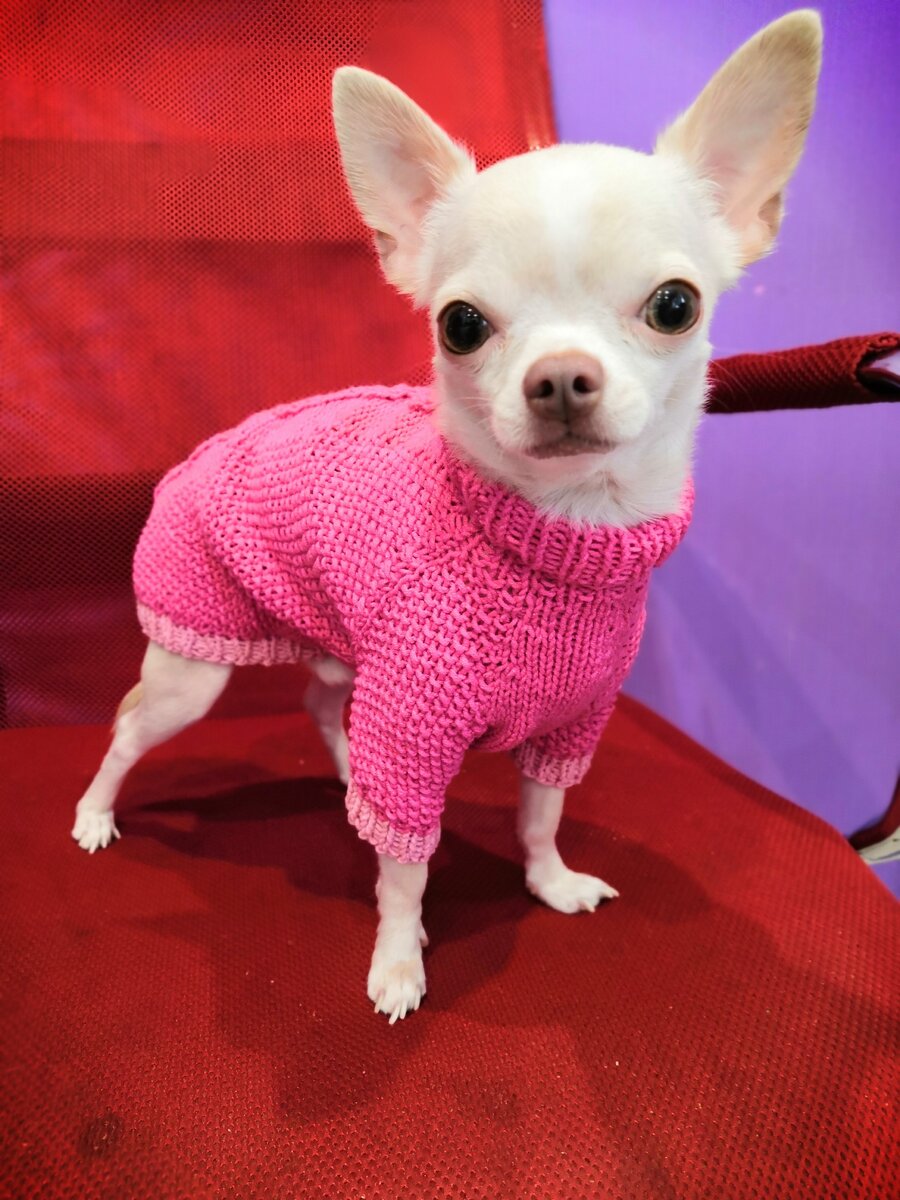 Все фото из инстаграма @kub_rybik 