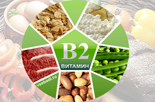 Пищевые источники витамина В2 - Calorizator 