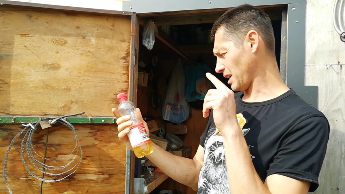 Избавляемся от Американского клёна сорняка - быстро - без усилий - раз ...