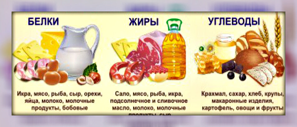 белки, жиры и углеводы