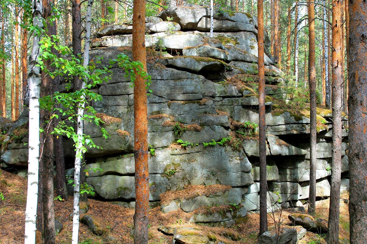 Один из скальных останцев горы Высокая