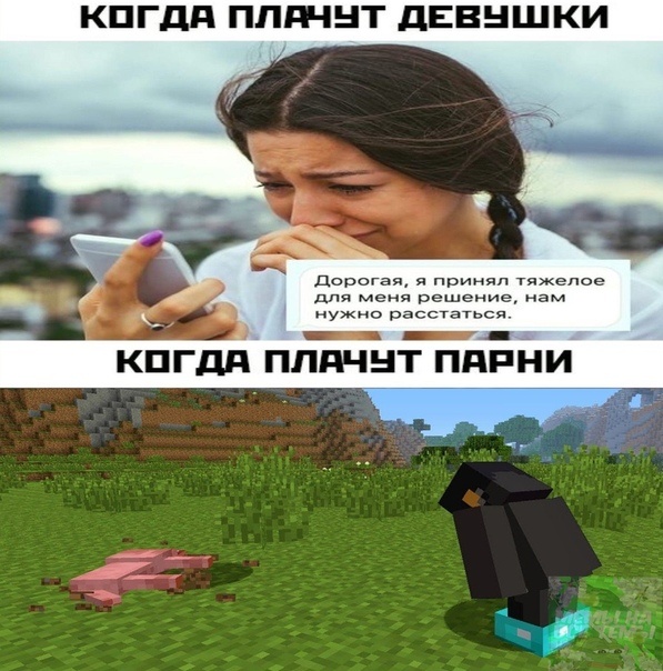 взято из открытых источников