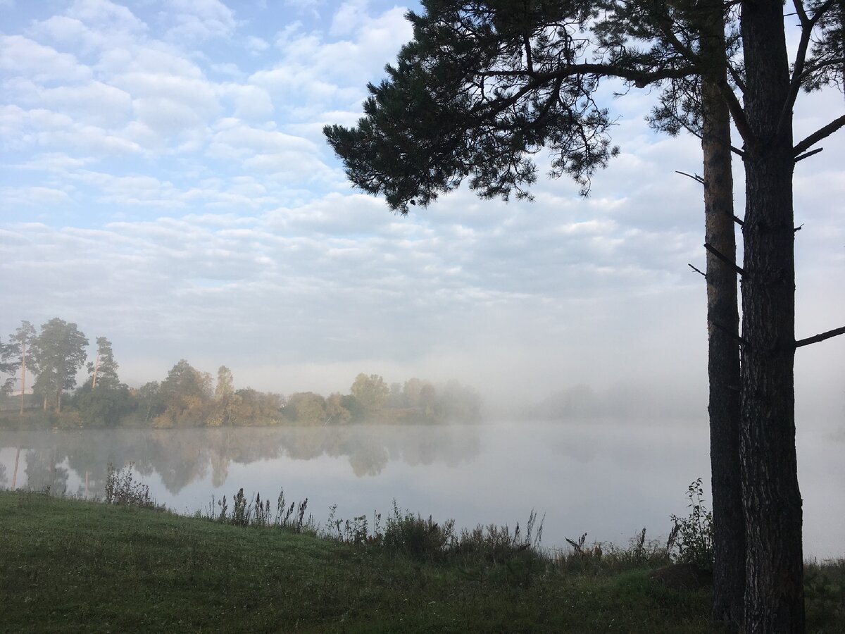 Рассвет нового дня 