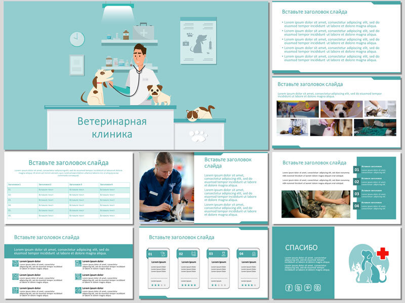 Шаблон презентации ветеринария