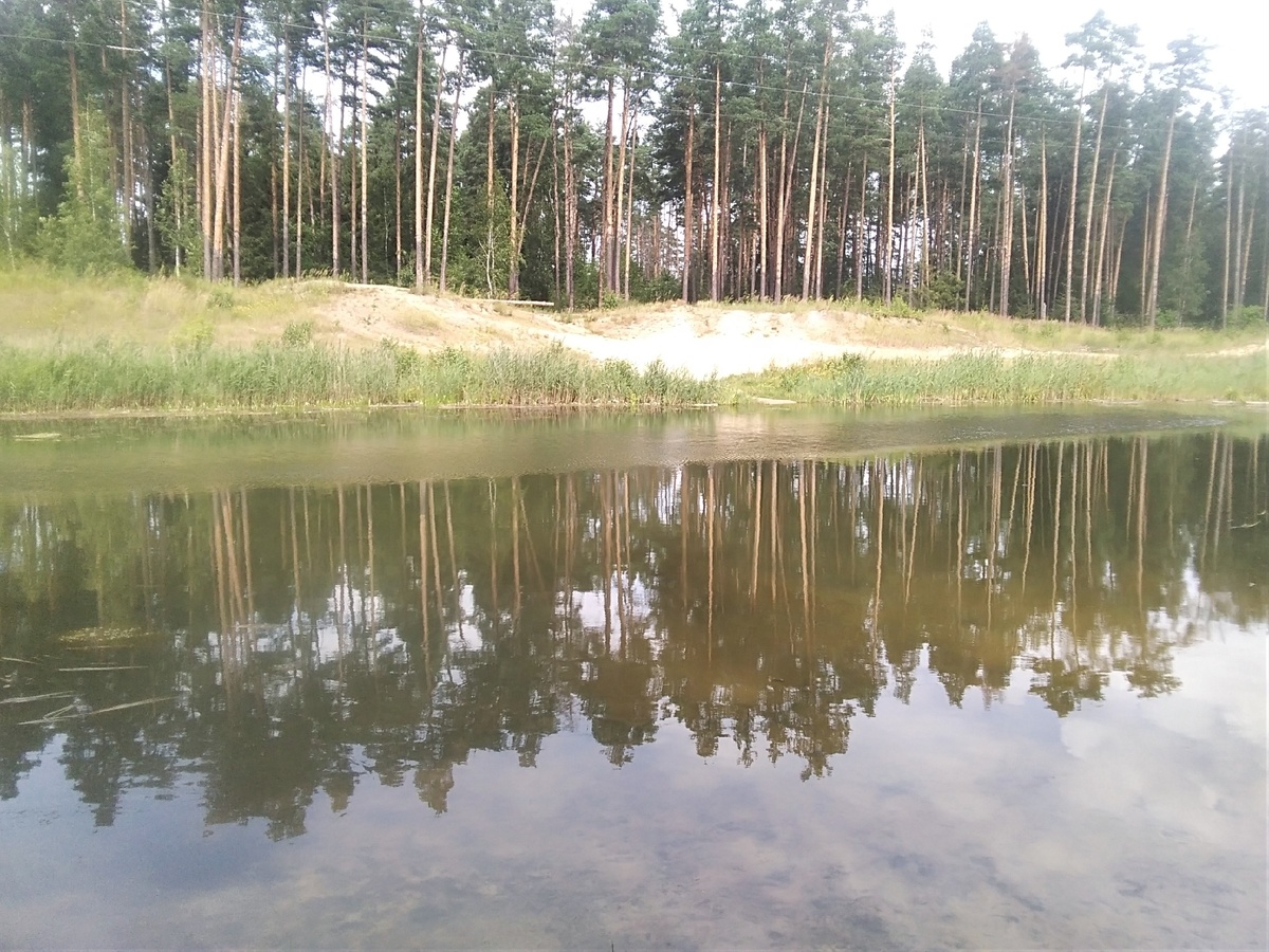 Лесной водоем, вода удивительно чистая  и теплая.