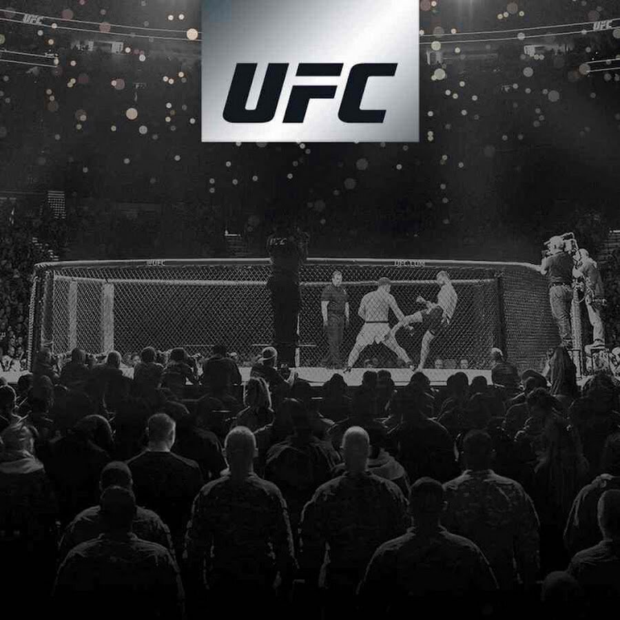UFC 