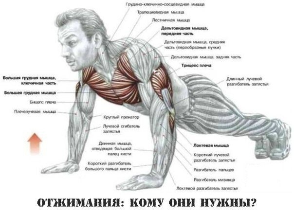 Ниже приведены примеры