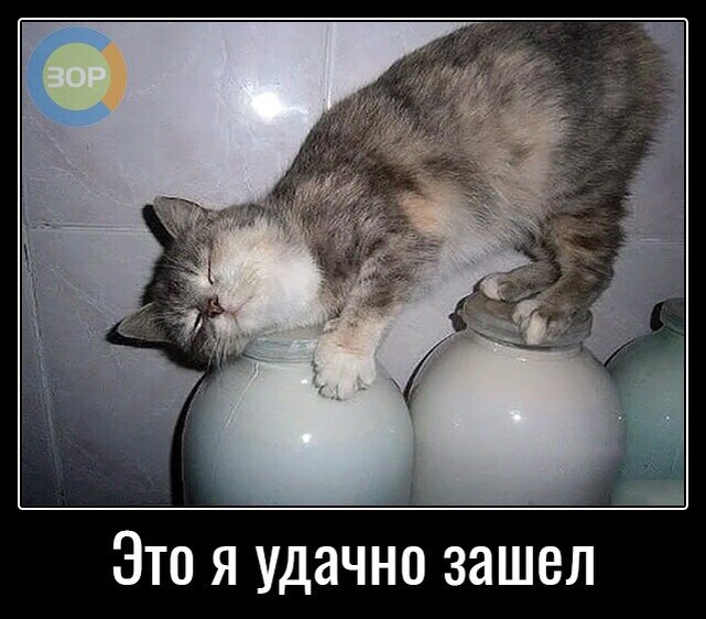 Картинка из интернета:)))