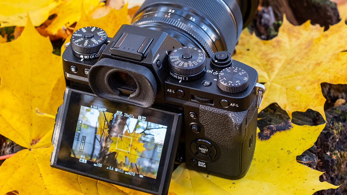 Фото: Арина Зайкова