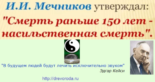 Красный, жёлтый, зелёный - куда идти выбор дан каждому