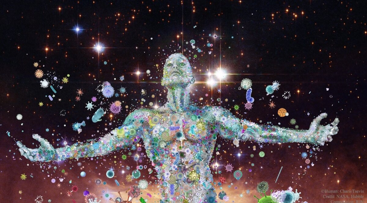 Картинка из открытого источника в Яндексе