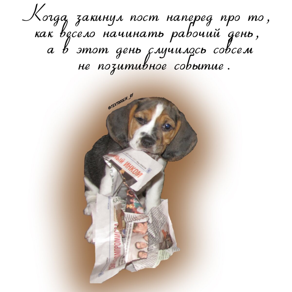 Textogolik_rf - мой аккаунт в Инстаграм