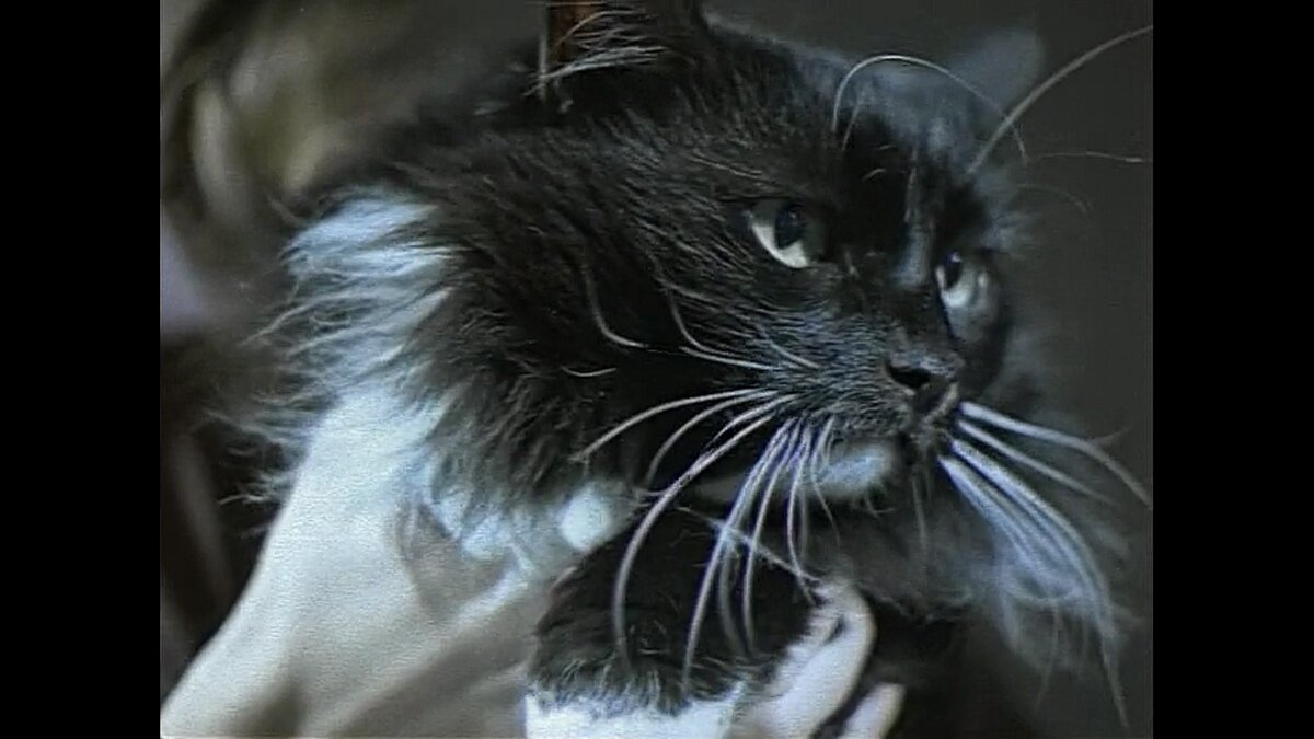 Кадр из советского фильма