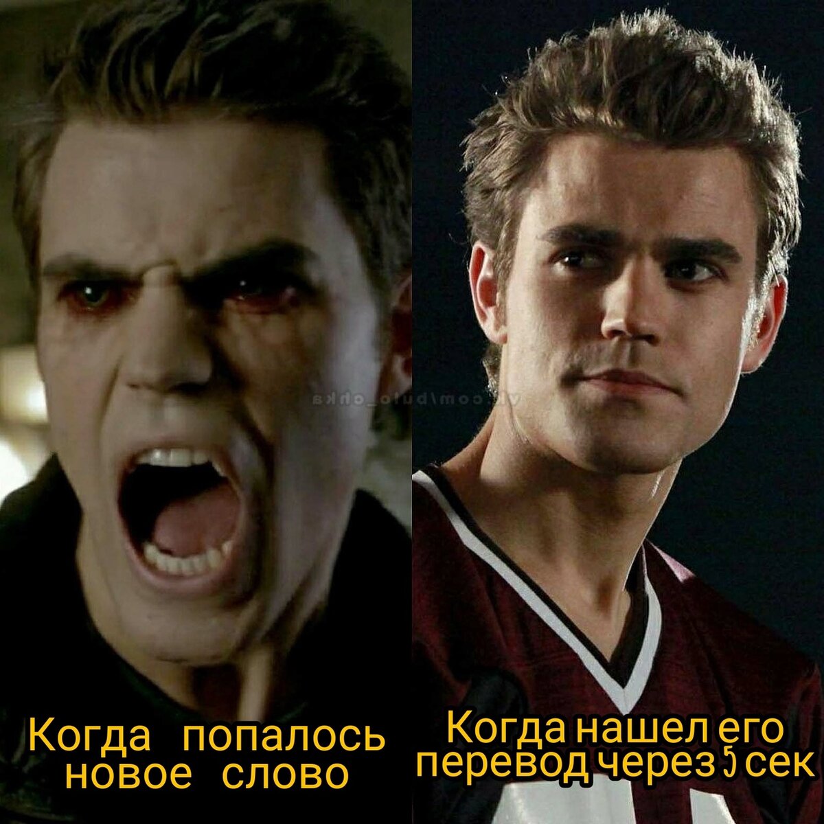 Использованы кадры из сериала "Дневники вампира"