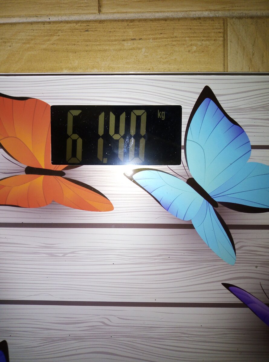 На весах  61.40 кг.