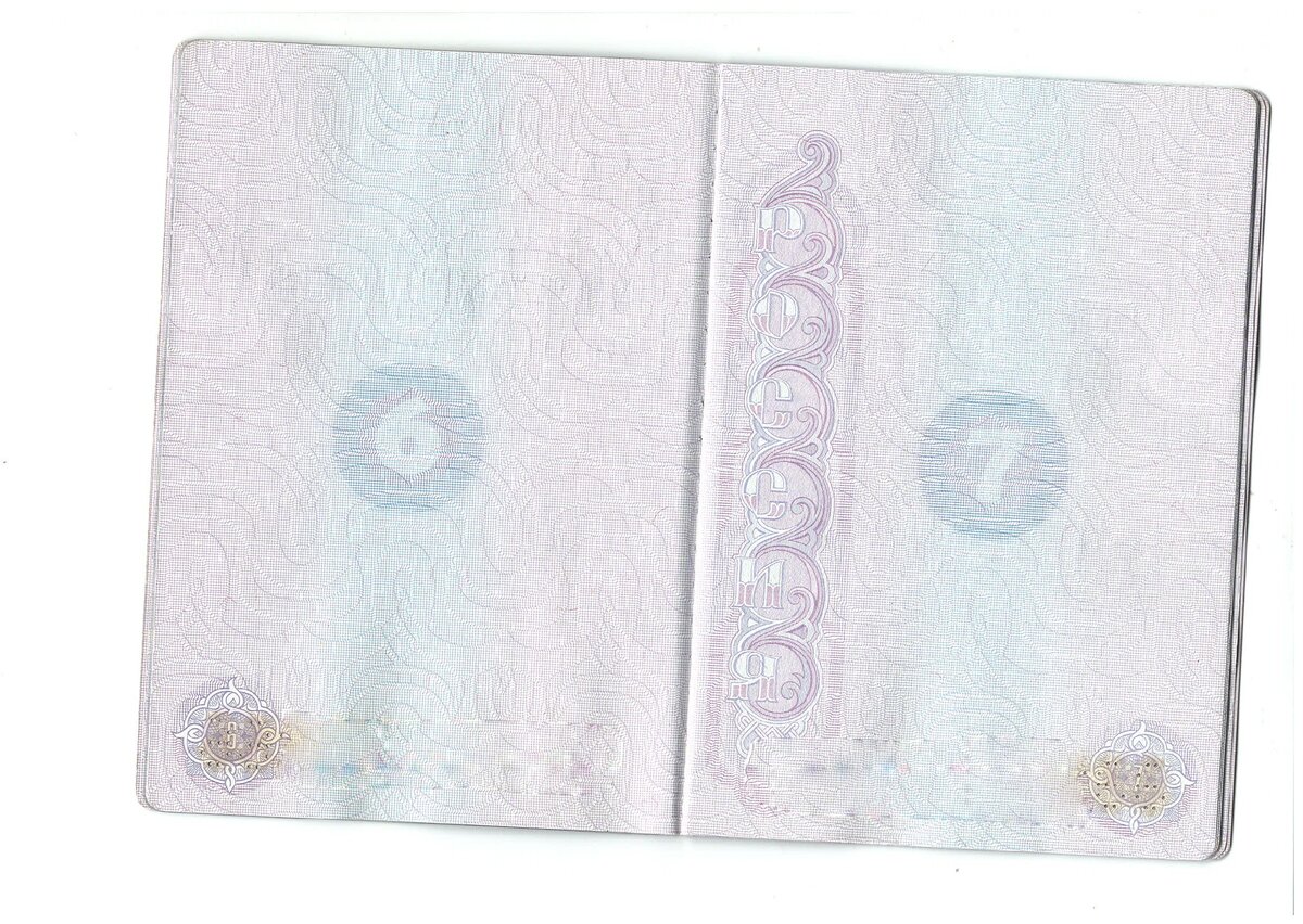 Рис. 1. Результат сканирования