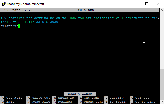 Стрелочками идём до конца значения, стираем и меняем на true.

Снова запустим сервер, дабы он создал новые важные файлы.