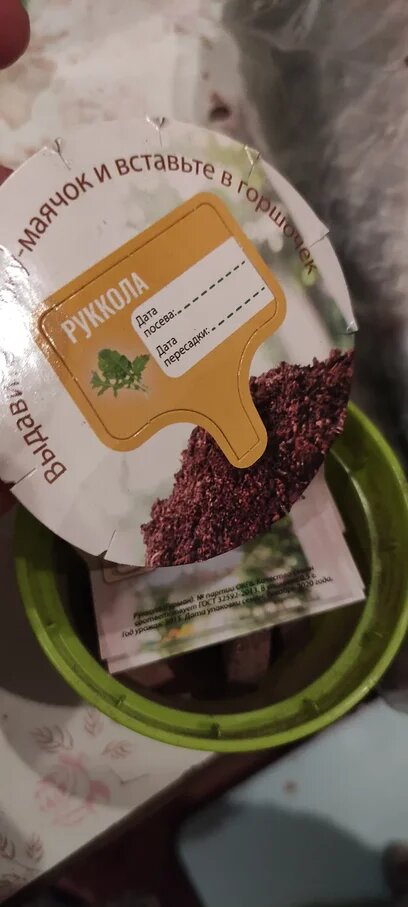 и милая этикетка, чтобы не перепутать, что посадили