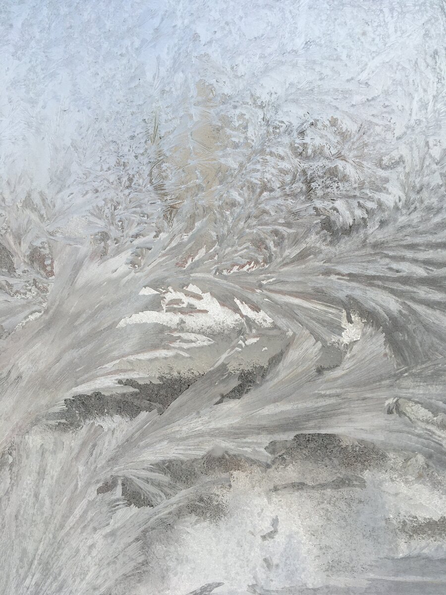 Наши Крещенские морозы. Фото автора