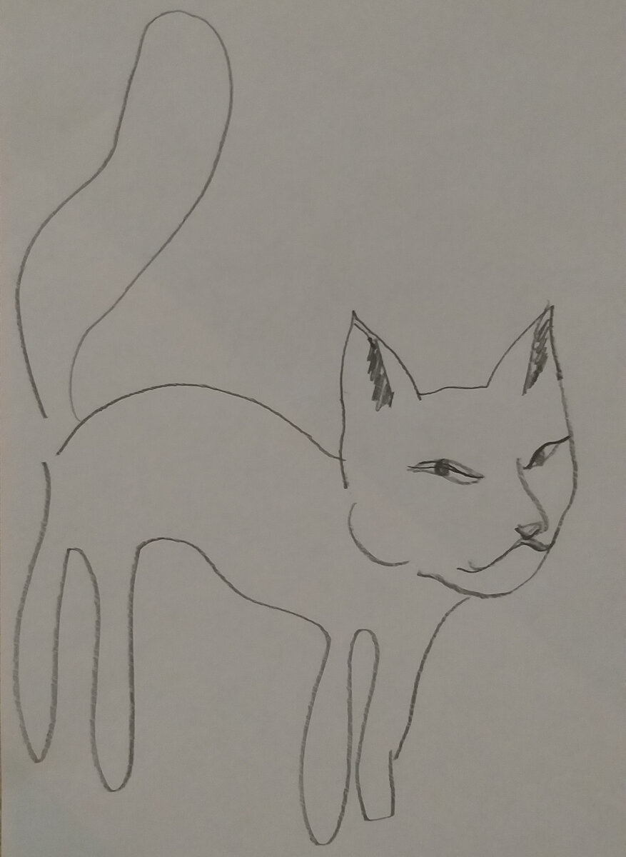 Кошка прищуривает глаза, глядя на хозяина.