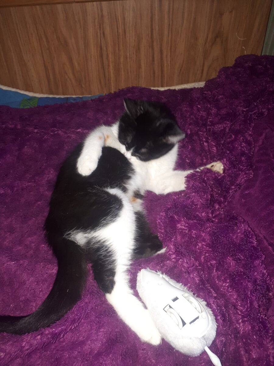 Личный архив