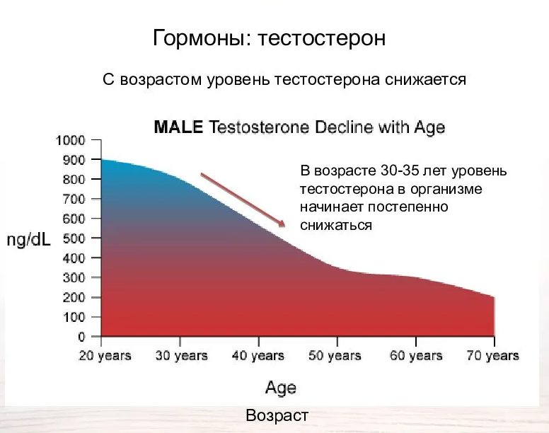 Тестостерон у мальчиков норма. Тестостерон график от возраста. График выработки тестостерона у мужчин. Возрастная таблица уровня тестостерона. Уровень тестостерона у мужчин норма таблица по возрасту.