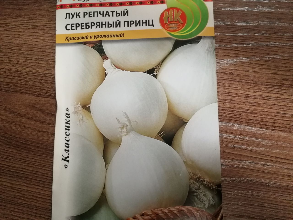 Лук флорентийская торпеда Лук флорентийская торпеда