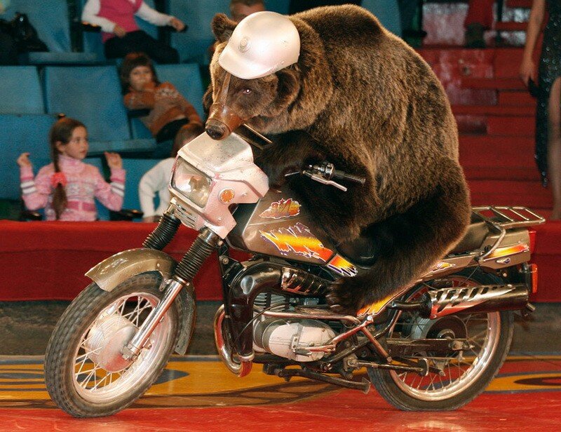 фото из интернета