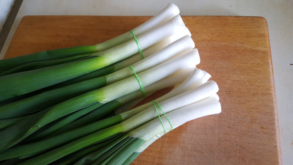 Перо зелёного лука