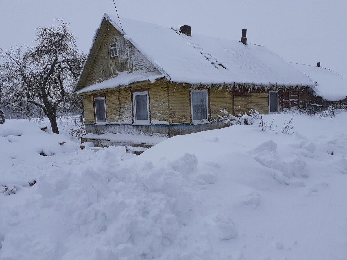 Сбежали в деревню